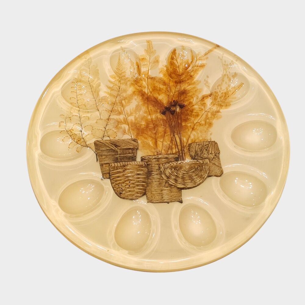 Vtg Lucite Deviled Egg Plate Tray Acrylic Resin Pressed Dried Baskets, Ferns 9"